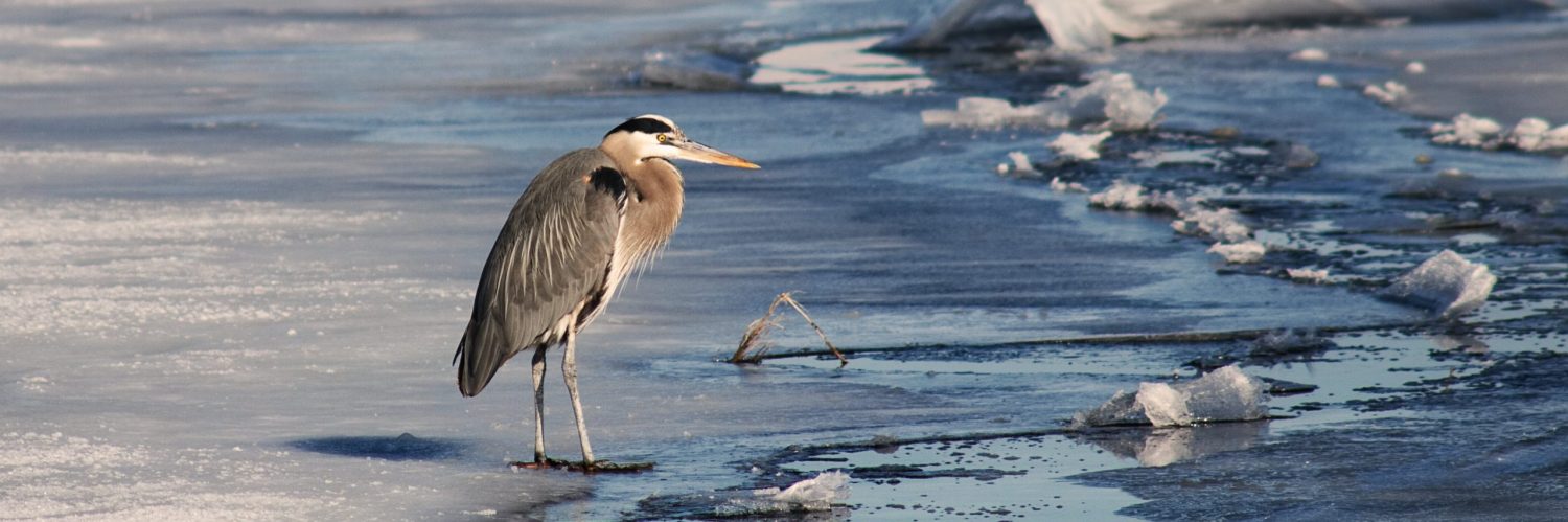 Kathryn Stone Photography